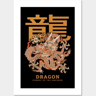 Ancient Chinese Dragon Medallion Posters and Art